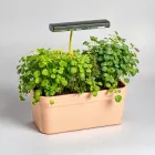 Indoor Herb Garden Kit