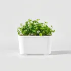 Indoor Herb Garden Kit