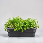 Indoor Herb Garden Kit