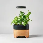 Indoor Herb Garden Kit
