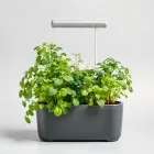 Indoor Herb Garden Kit