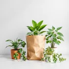 Organic Indoor Plant Kit