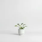 Indoor Plant Care Kit