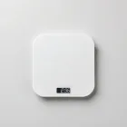 Smart Food Scale