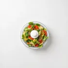 Salad Spinner