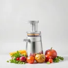 Manual Juicer