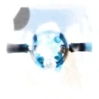 Kestrel Essential Ab Roller — Light
