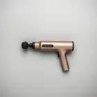 Kestrel Prestige Massage Gun — 4kg