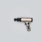 Kestrel Elite Massage Gun — 4kg