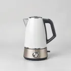 Electric Kettle with Temperature Control