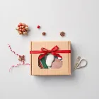 Holiday DIY Craft Kit