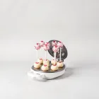 Cake Pop Maker