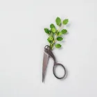 Herb Scissors