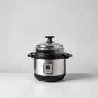 Sous Vide Precision Cooker