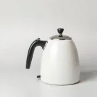 Tea Kettle with Whistle