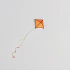 Kite Flying Adventure