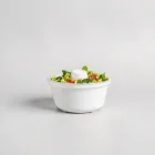 Salad Spinner Pro