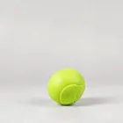 KONG Classic Dog Toy