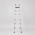 Multi-Purpose Ladder