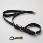 Dog Leash and Collar Set