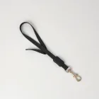 Dog Leash with Padded Handle