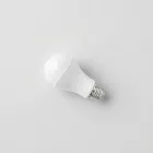 Energy-Efficient LED Light Bulbs