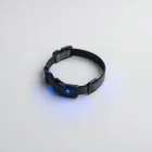 Dog Collar with LED Lights