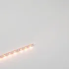 Strip LED Lights