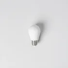 Smart LED Light Bulbs