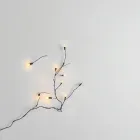 Decorative Fairy Lights