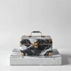 Luxury Marble Case