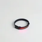 LED Pet Collar