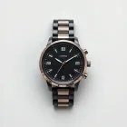 LifeSpan Watch