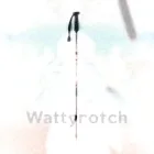 Lightweight Trekking Poles