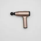 Lumina Heritage Massage Gun — 4kg