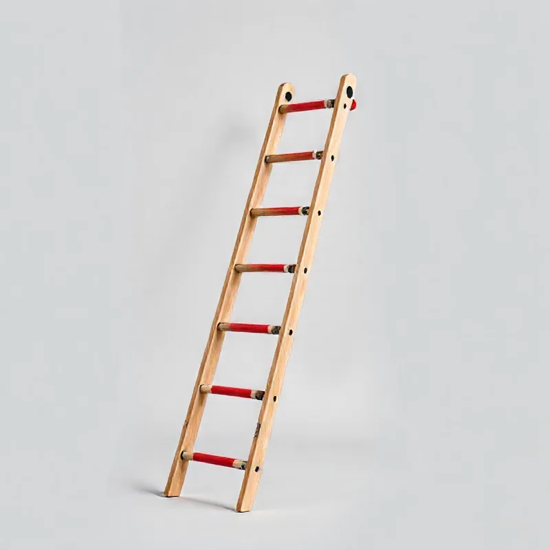 Martial Arts Training Ladder