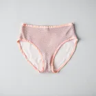 Mesh Back Cheeky Panties