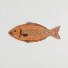 Fish Measuring Board
