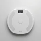 Meridian Pro Series Balance Board — 4kg