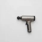 Meridian Deluxe Massage Gun — 4kg