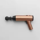 Meridian Select Massage Gun — 4kg