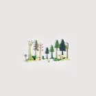 Mystic Forest Adventure