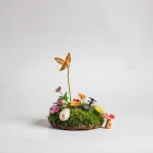 Magical Fairy Garden Kit