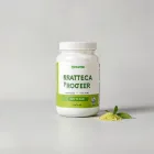 Matcha Green Tea Protein Powder