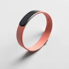 Momentum Band