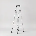 Multi-Purpose Ladder