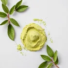 Matcha Protein Powder - Green Tea