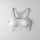 Mesh Panel Sports Bra