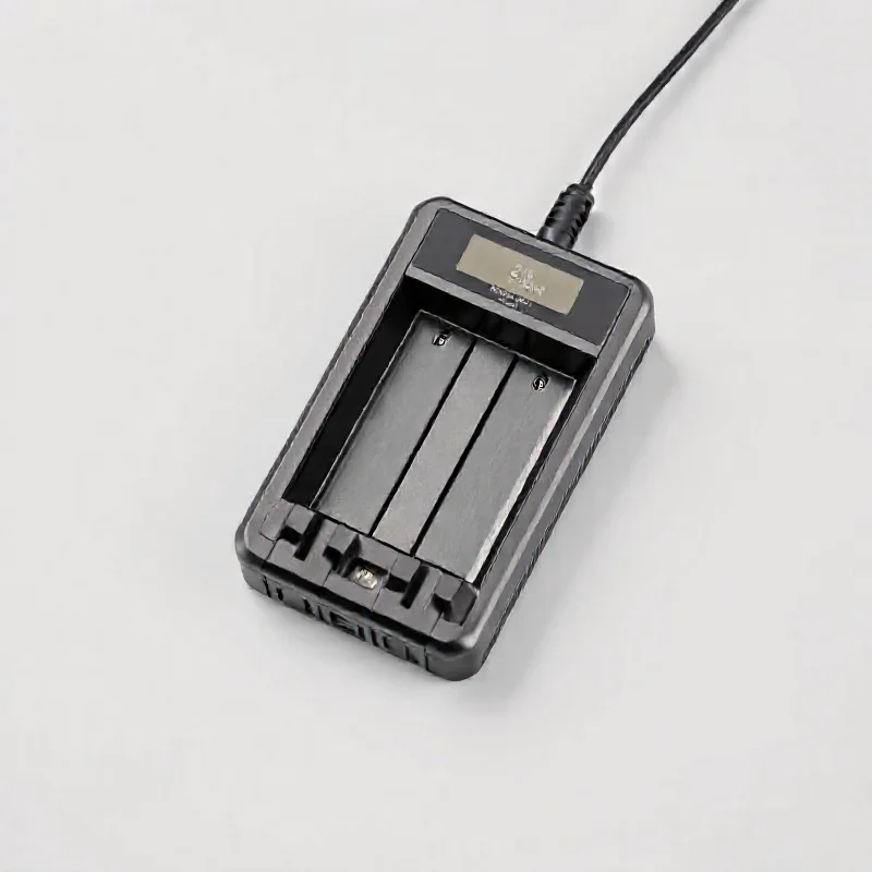 Multi-Functional Battery Charger