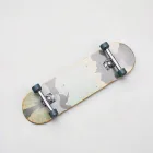 Mystery Skateboard Deck